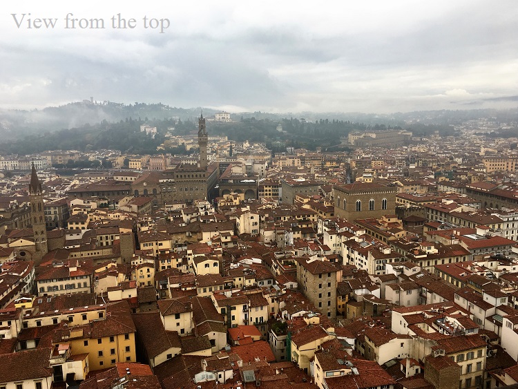 view-from-top-of-the-duomo